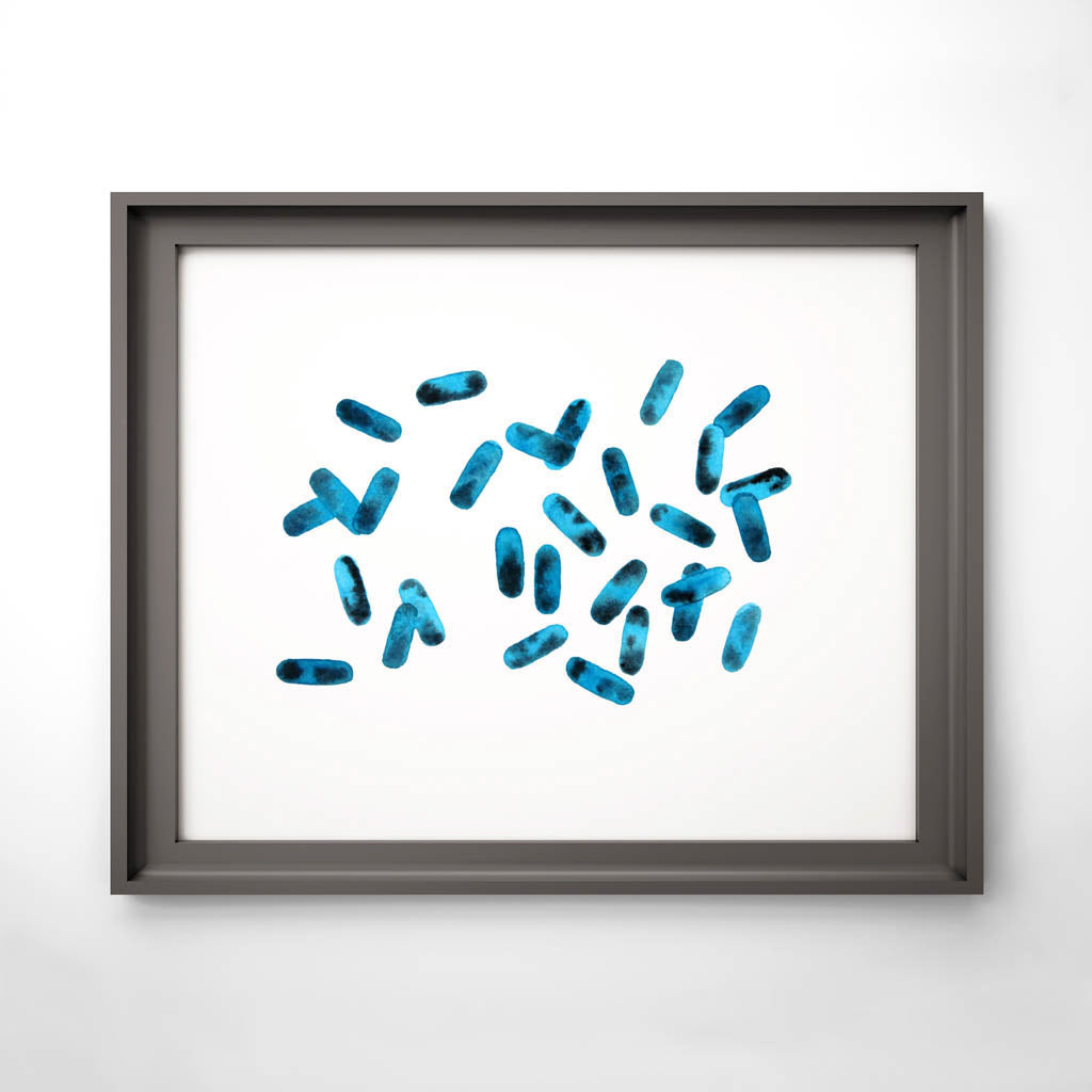 Bacillus 5,[product type] - Sandra Black Science Art