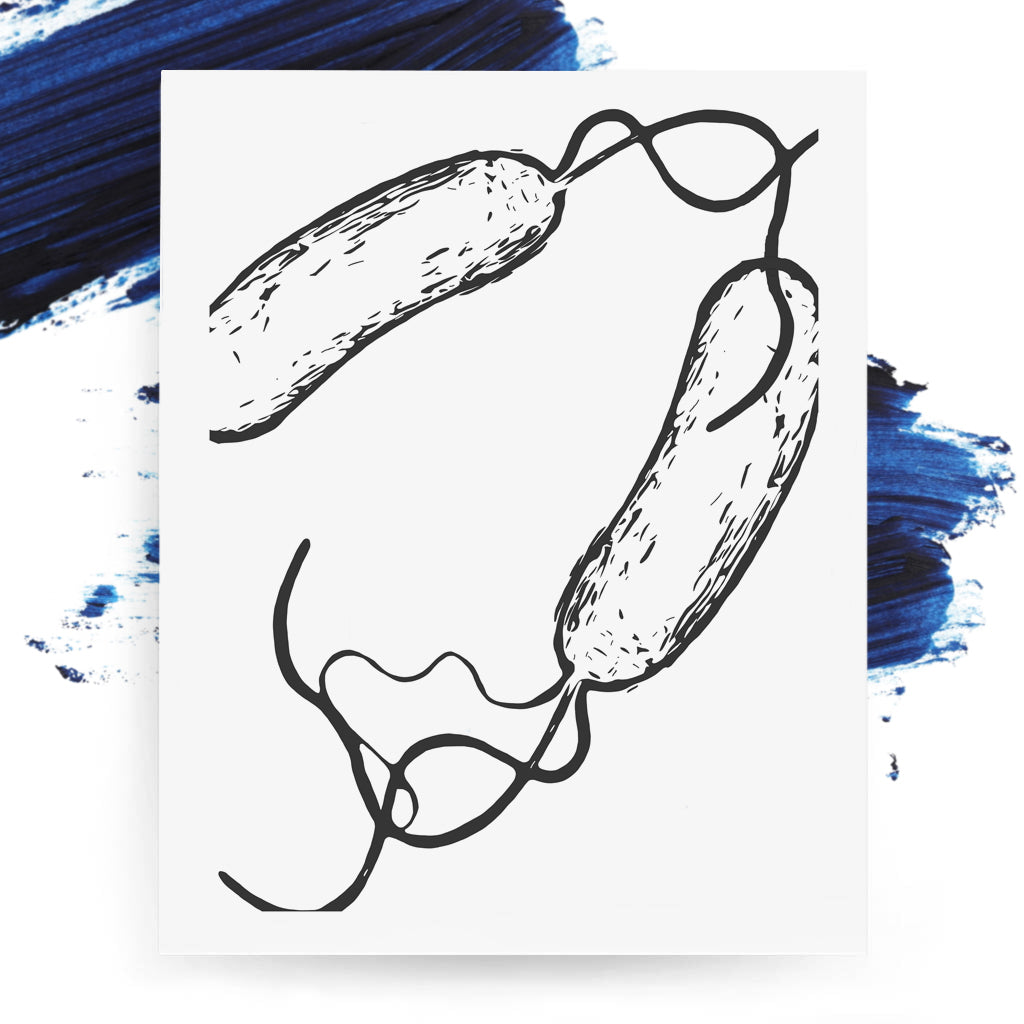 Bacillus 8,[product type] - Sandra Black Science Art