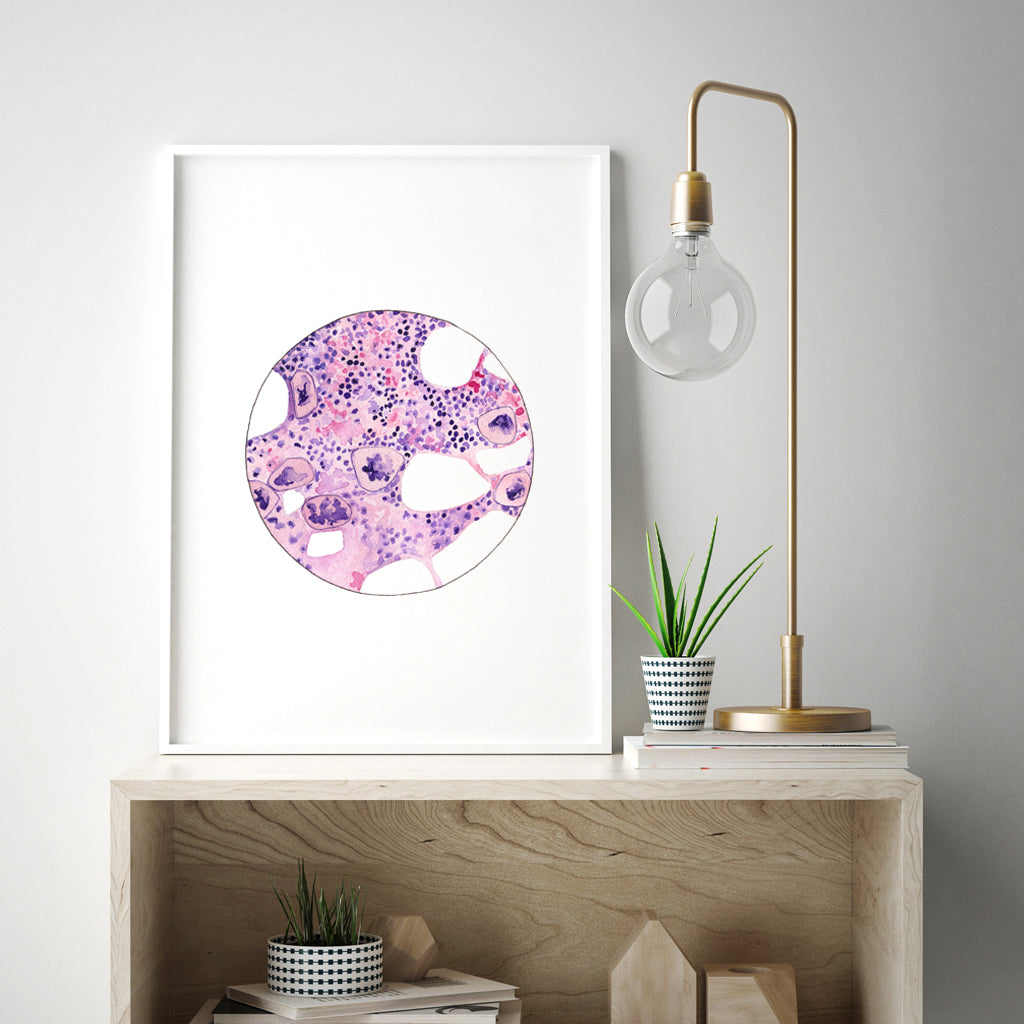 Bone Marrow 2,[product type] - Sandra Black Science Art