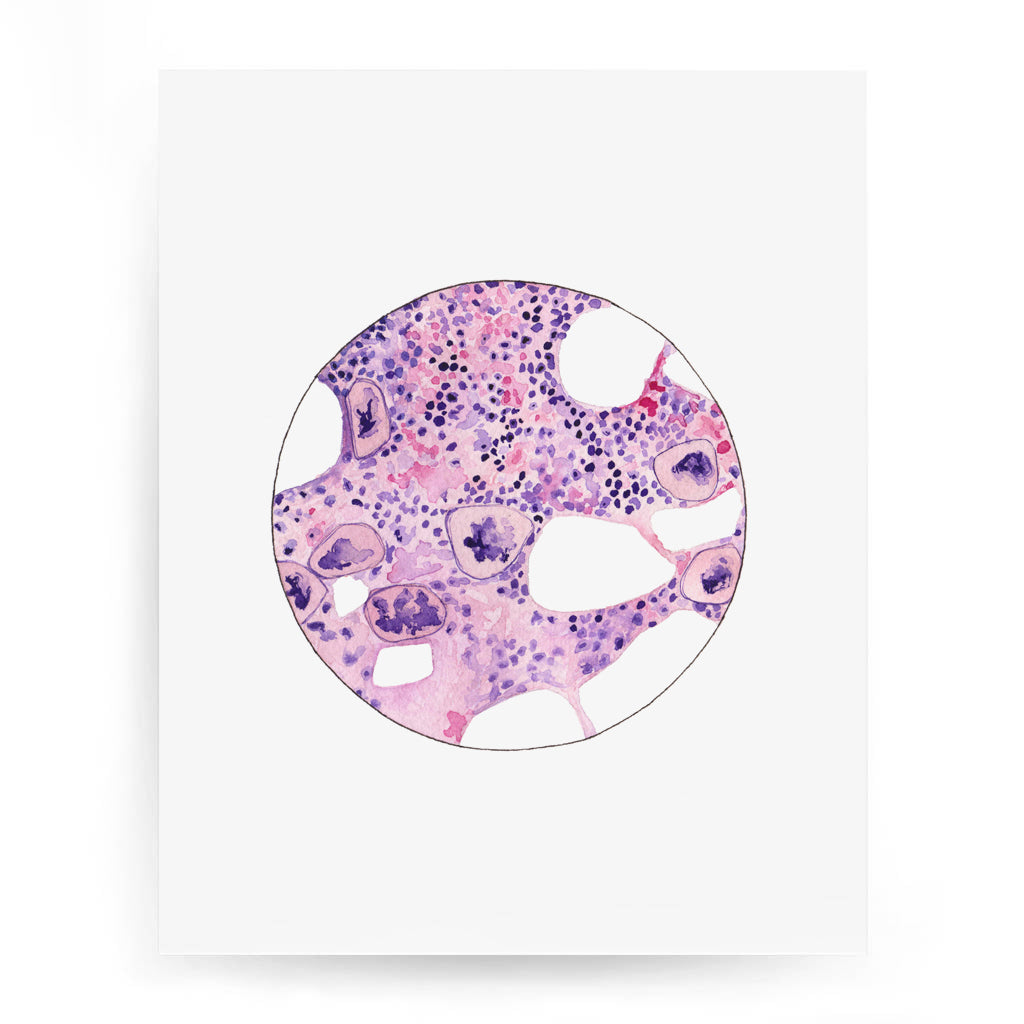 Bone Marrow 2,[product type] - Sandra Black Science Art