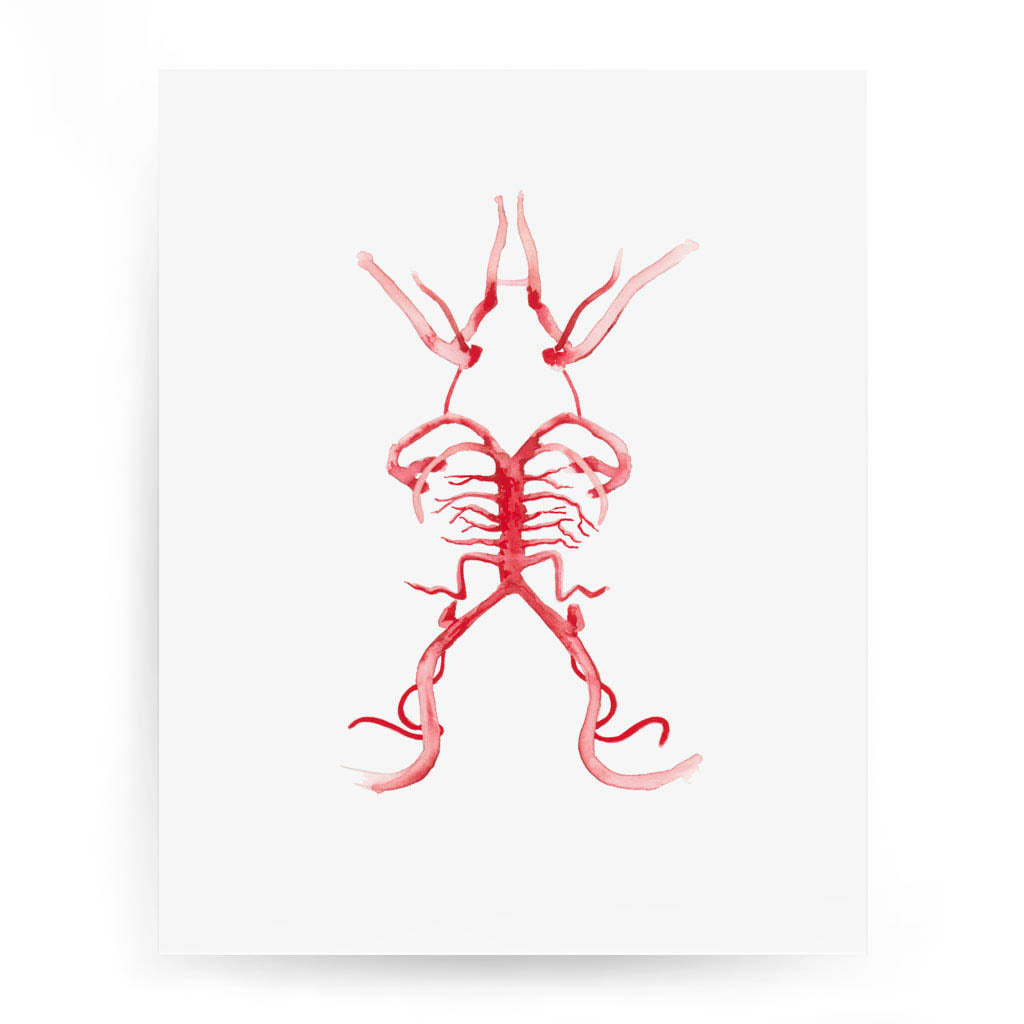 Circle of Willis,[product type] - Sandra Black Science Art