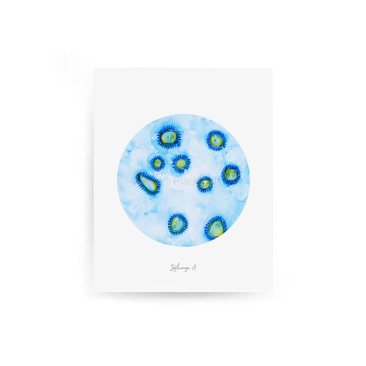 Inflenza A Electron Microscopy Print