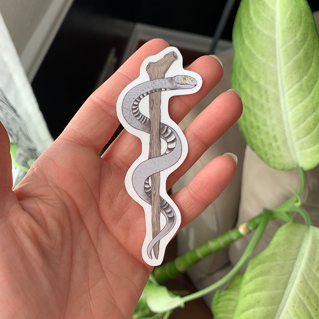 Rod of Asclepius Vinyl Sticker - Sandra Black Culliton