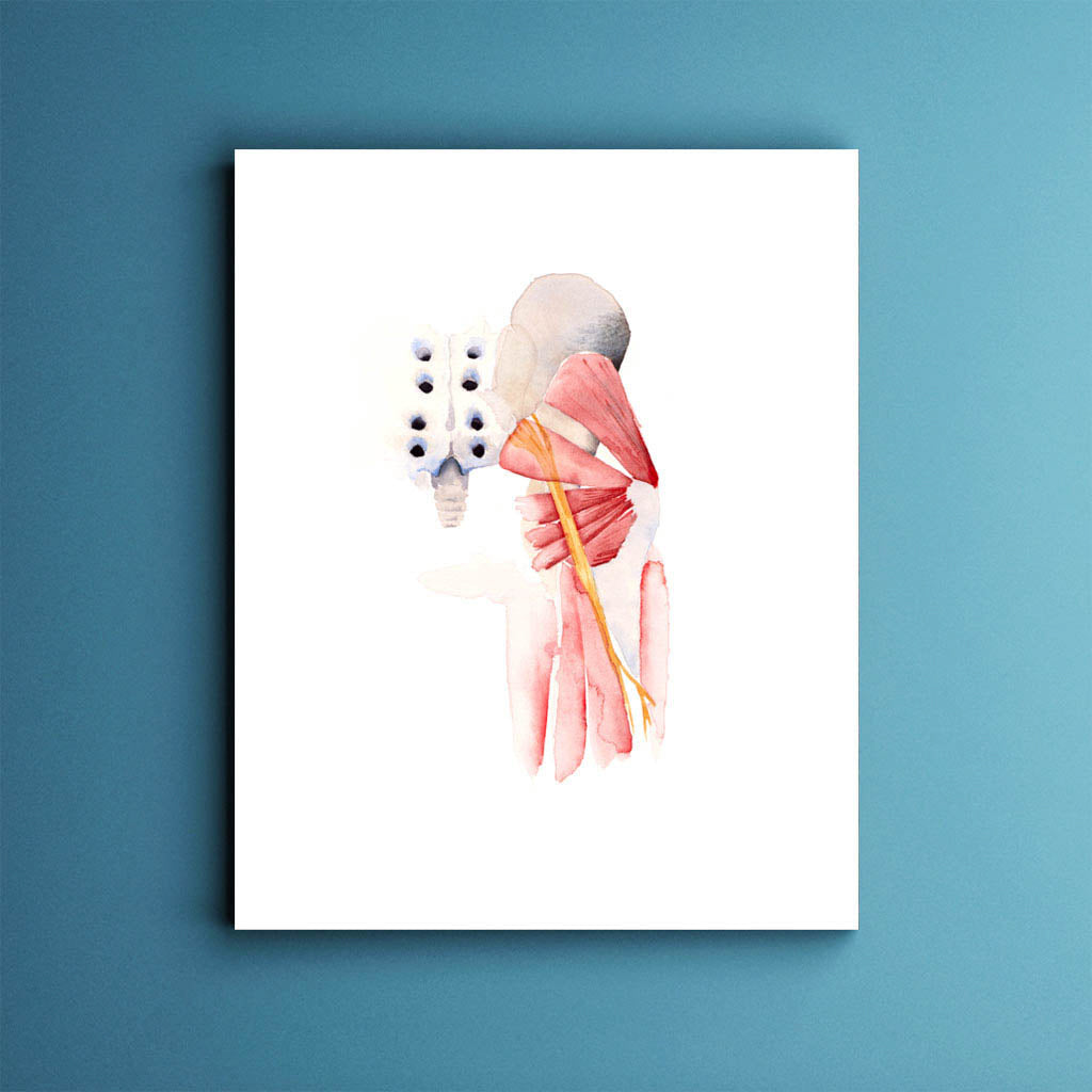 Sciatic Nerve,[product type] - Sandra Black Science Art